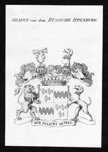Grafen von dem Bussche Ippenburg - Bussche-Ippenburg Wappen Adel coat of arms Kupferstich  heraldry Heraldik