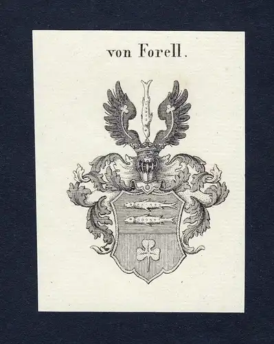 Von Forell - Forell Wappen Adel coat of arms heraldry Heraldik
