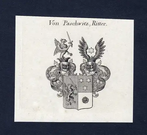 Von Paschwitz, Ritter - Paschwitz Wappen Adel coat of arms Kupferstich  heraldry Heraldik