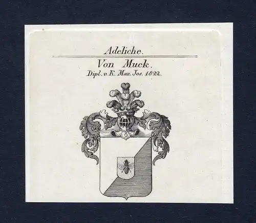 Von Muck - Muck Wappen Adel coat of arms Kupferstich  heraldry Heraldik