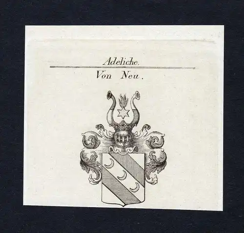 Von Neu - Neu Wappen Adel coat of arms Kupferstich  heraldry Heraldik
