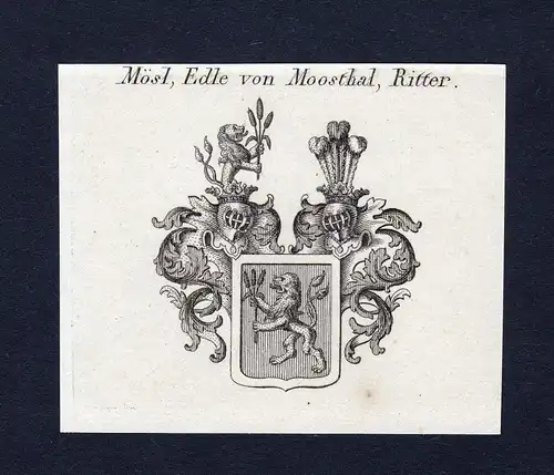 Mösl, Edle von Moosthal, Ritter - Mösl Moesl von Moosthal Wappen Adel coat of arms Kupferstich  heraldry Her