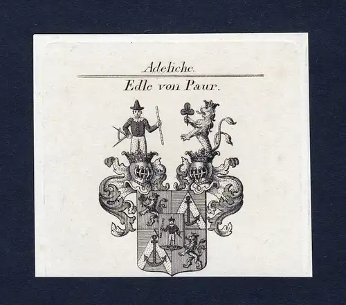 Edle von Paur - Paur Wappen Adel coat of arms Kupferstich  heraldry Heraldik