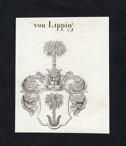 Von Lippig - Lippig Wappen Adel coat of arms heraldry Heraldik