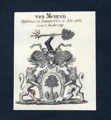 Von Meuron - Meuron Wappen Adel coat of arms heraldry Heraldik