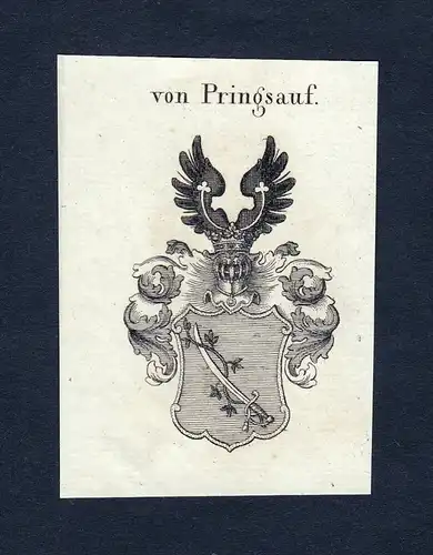 Von Pringsauf - Pringsauf Wappen Adel coat of arms heraldry Heraldik