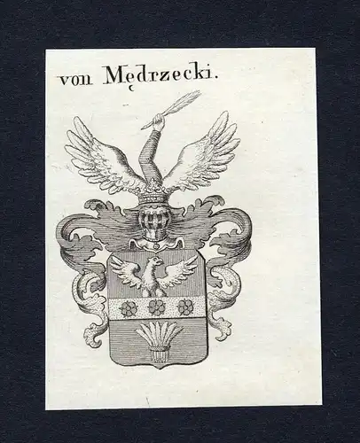 Von Medrzecki - Medrzecki Wappen Adel coat of arms Kupferstich  heraldry Heraldik