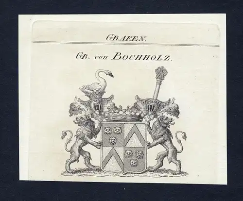 Gr. von Bochholz - Bochholz Wappen Adel coat of arms Kupferstich  heraldry Heraldik