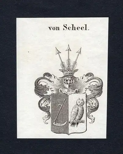 Von Scheel - Scheel Wappen Adel coat of arms Kupferstich  heraldry Heraldik