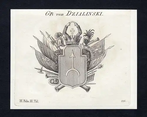 Gr. von Dzialinski - Dzialinski Dzialynski Wappen Adel coat of arms Kupferstich  heraldry Heraldik