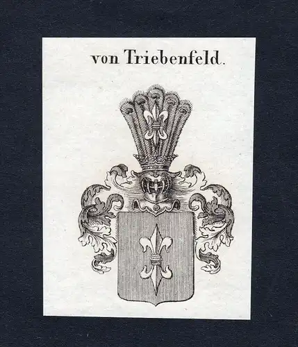 Von Triebenfeld - Triebenfeld Wappen Adel coat of arms heraldry Heraldik