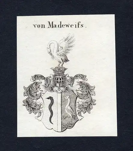 Von Madeweifs - Madeweifs Wappen Adel coat of arms Kupferstich  heraldry Heraldik