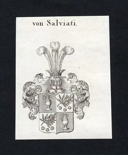 Von Salviati - Salviati Wappen Adel coat of arms Kupferstich  heraldry Heraldik