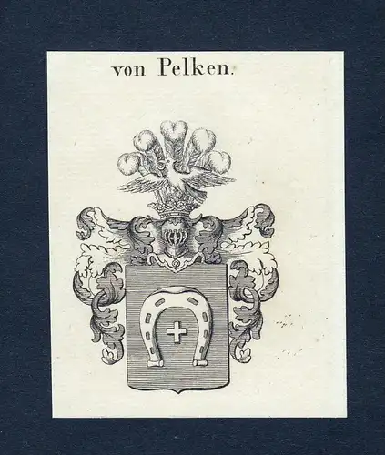 Von Pelken - Pelken Wappen Adel coat of arms Kupferstich  heraldry Heraldik