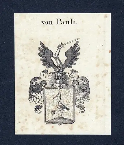 Von Pauli - Pauli Wappen Adel coat of arms Kupferstich  heraldry Heraldik
