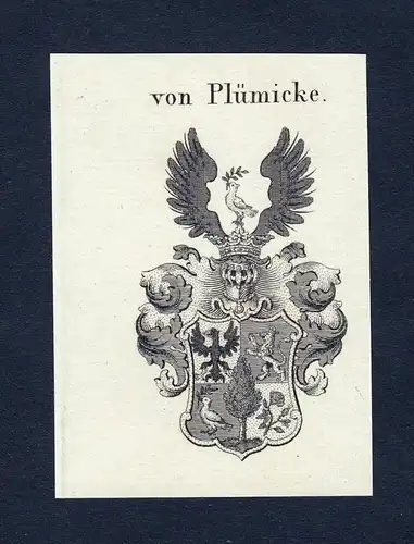 Von Plümicke - Plümicke Pluemicke Wappen Adel coat of arms Kupferstich  heraldry Heraldik