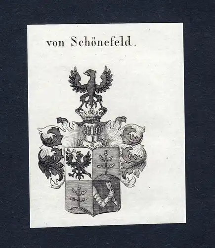 Von Schönefeld - Schönefeld Schoenefeld Wappen Adel coat of arms Kupferstich  heraldry Heraldik