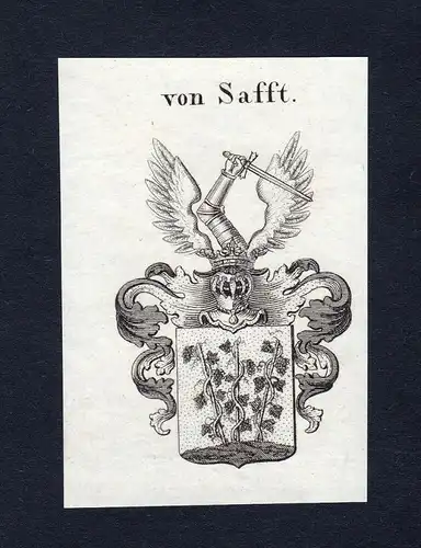 Von Safft - Safft Wappen Adel coat of arms Kupferstich  heraldry Heraldik