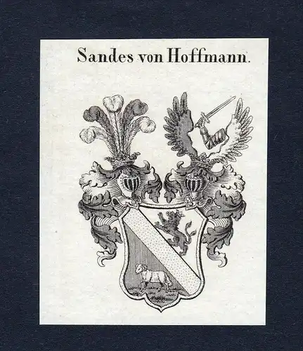 Sandes von Hoffmann - Sandes von Hoffmann Wappen Adel coat of arms Kupferstich  heraldry Heraldik
