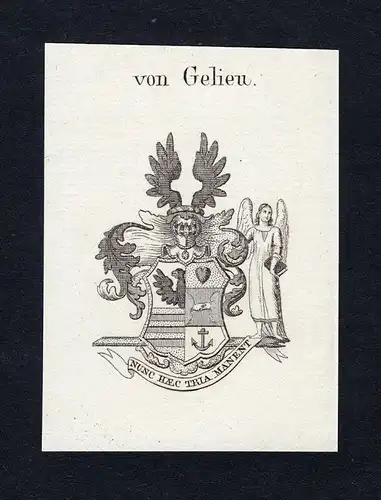 Von Gelieu - Gelieu Wappen Adel coat of arms heraldry Heraldik