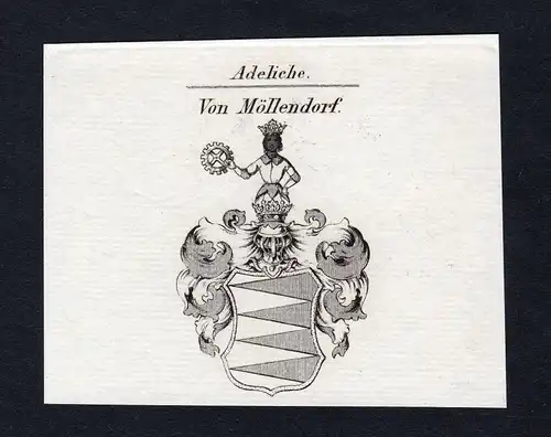 Von Möllendorf - Möllendorf Wappen Adel coat of arms heraldry Heraldik
