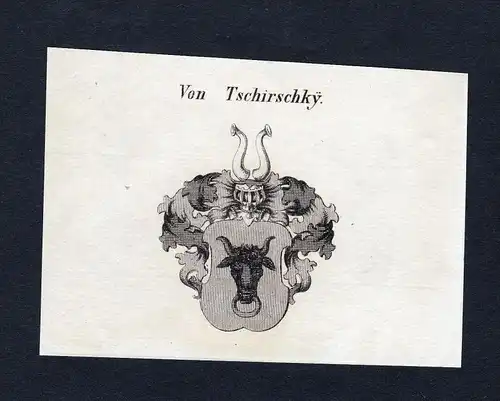 Von Tschirschky - Tschirschky Tschierschky Wappen Adel coat of arms Kupferstich  heraldry Heraldik