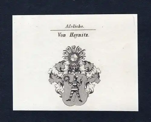 Von Haynitz - Heynitz Heinitz Haynitz Wappen Adel coat of arms Kupferstich  heraldry Heraldik