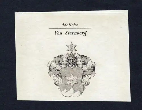 Von Sternberg - Sternberg Wappen Adel coat of arms Kupferstich  heraldry Heraldik