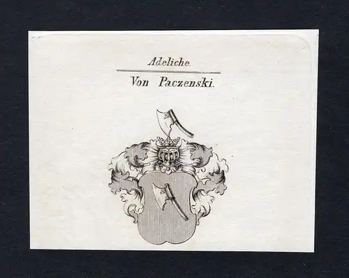 Von Paczenski - Paczensky Wappen Adel coat of arms Kupferstich  heraldry Heraldik