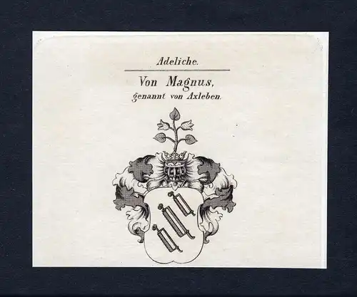Von Magnus genannt von Axleben - Magnus von Axleben Axleben-Magnus Wappen Adel coat of arms Kupferstich  heral