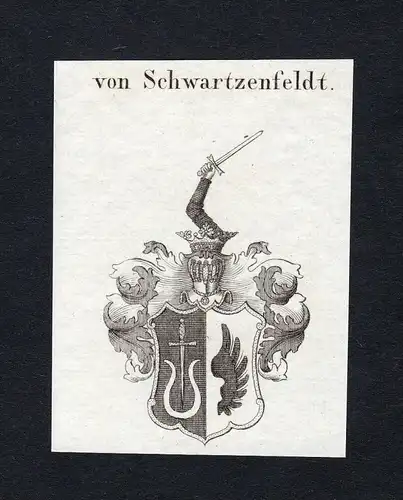 Von Schwartzenfeldt - Schwartzenfeldt Wappen Adel coat of arms Kupferstich  heraldry Heraldik