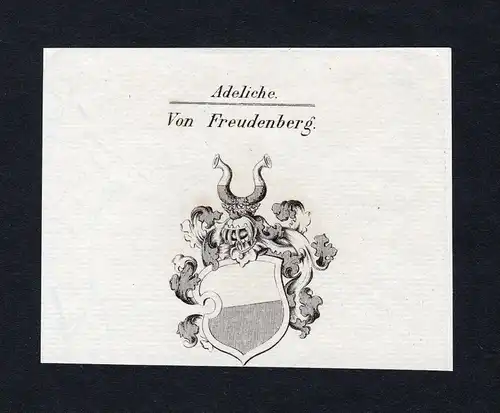 Von Freudenberg - Freudenberg Wappen Adel coat of arms heraldry Heraldik