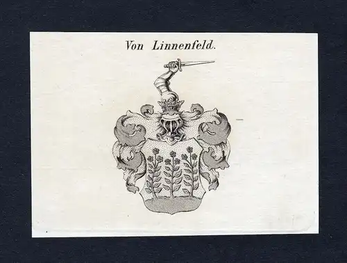 Von Linnenfeld - Linnenfeld Wappen Adel coat of arms Kupferstich  heraldry Heraldik
