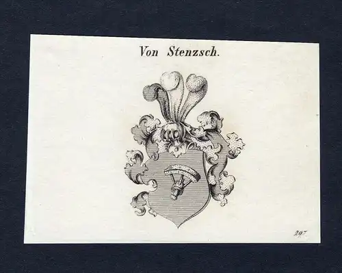 Von Stenzsch - Stenzsch Stentzsch Wappen Adel coat of arms Kupferstich  heraldry Heraldik