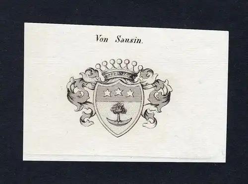 Von Sausin - Sausin Wappen Adel coat of arms Kupferstich  heraldry Heraldik