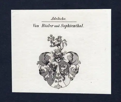 Von Rösler und Sophienthal - Rösler Roesler und Sophienthal Wappen Adel coat of arms Kupferstich  heraldry H