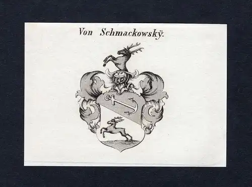 Von Schmackowsky - Schmackowsky Wappen Adel coat of arms Kupferstich  heraldry Heraldik