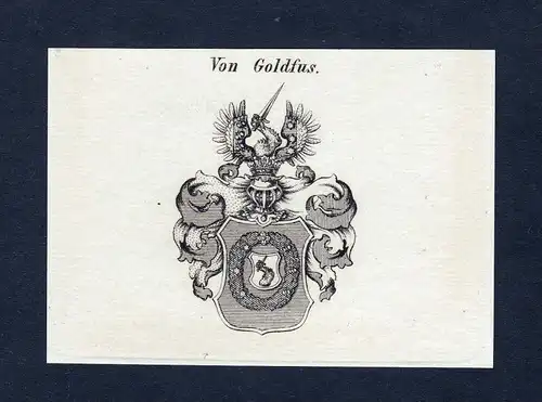 Von Goldfus - Goldfus Wappen Adel coat of arms Kupferstich  heraldry Heraldik
