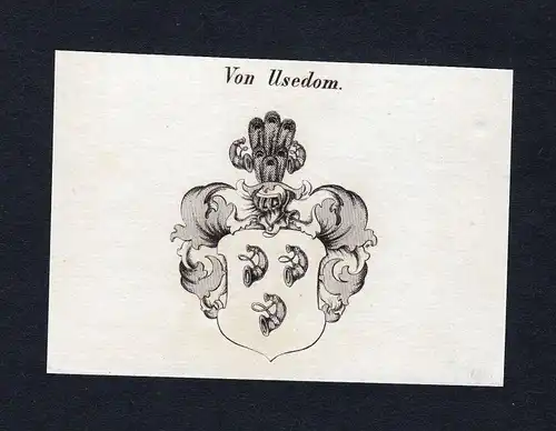 Von Usedom - Usedom Wappen Adel coat of arms Kupferstich  heraldry Heraldik