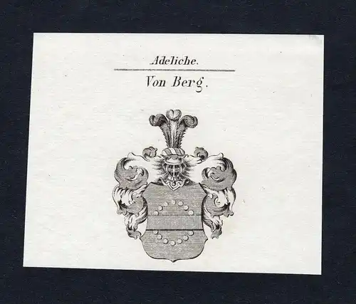 Von Berg - Berg Wappen Adel coat of arms heraldry Heraldik
