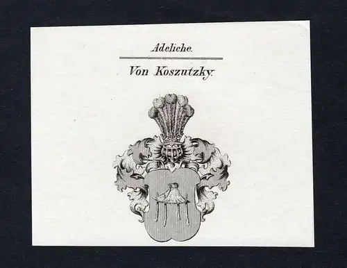 Von Koszutzky - Koszutzky Wappen Adel coat of arms heraldry Heraldik