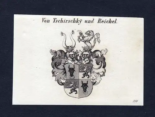 Von Tschirschky und Reichel - Tschirschky Tschierschky Reichel Wappen Adel coat of arms Kupferstich  heraldry