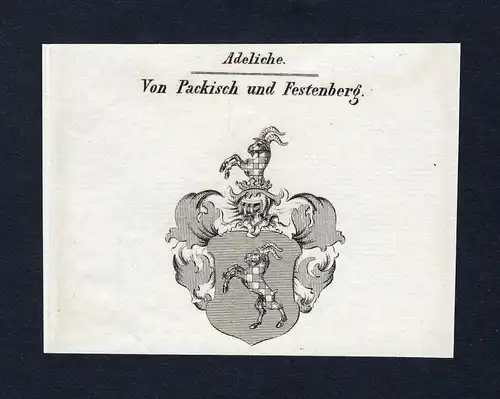 Von Packisch und Festenberg - Packisch Festenberg Wappen Adel coat of arms heraldry Heraldik