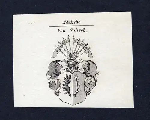 Von Salisch - Salisch Wappen Adel coat of arms Kupferstich  heraldry Heraldik