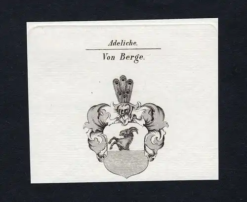 Von Berge - Berge Wappen Adel coat of arms heraldry Heraldik