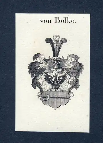 Von Bolko - Bolko Wappen Adel coat of arms Kupferstich  heraldry Heraldik