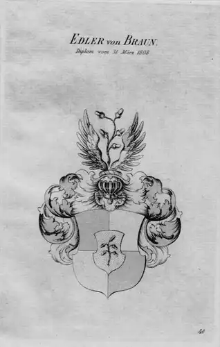 Von Braun Wappen Adel coat of arms heraldry Heraldik crest Kupferstich