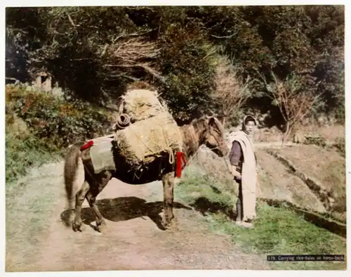 Carrying rice bales on horse back. / Pferd / Reisballen / tragen / Japan