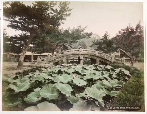 616 Temple Shiba Tokio / 613 Bronze Gate & Tomb Iyetsugu at Shiba Temple, Tokio -