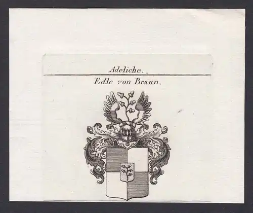 Edle von Braun - Braun Sachsen Saxony Wappen Adel coat of arms heraldry Heraldik Kupferstich antique print